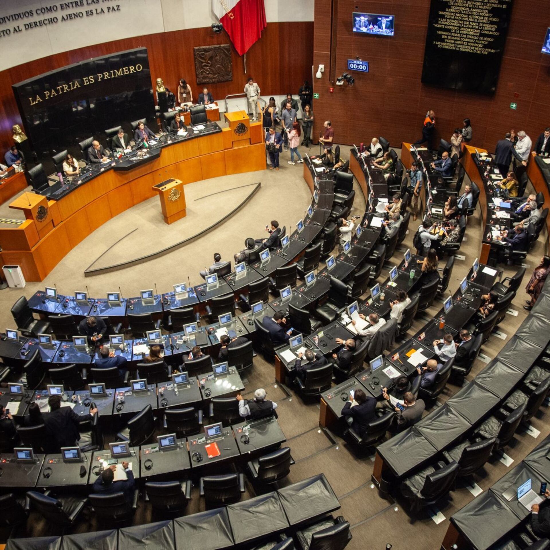 La dictadura de la mayoría
