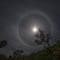 ¿El halo solar es peligroso? Hoy 28 de mayo sorprende a la CDMX