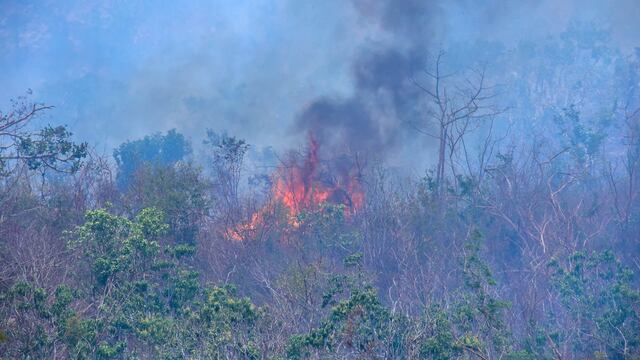 Incendios forestales en Acapulco