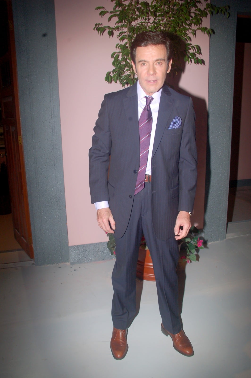 Guillermo Capetillo, actor retirado.
