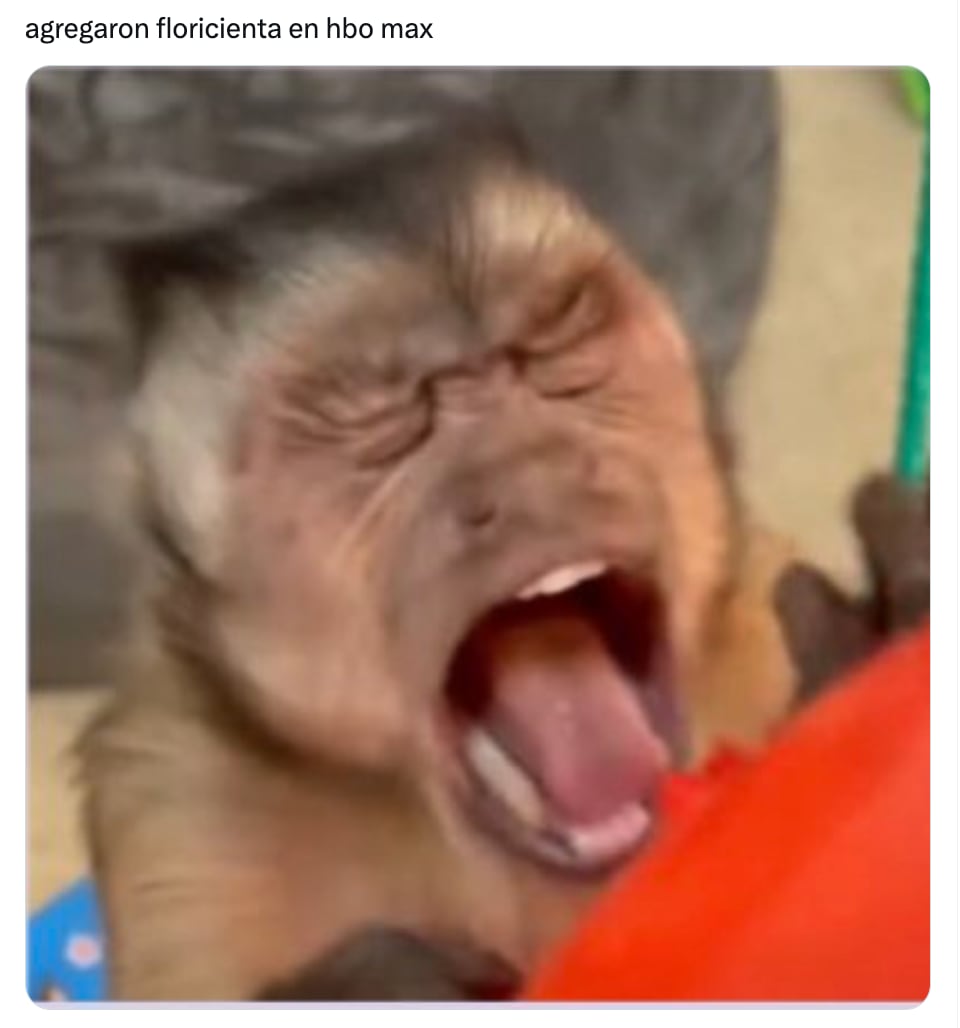 Meme de Floricienta en HBO Max