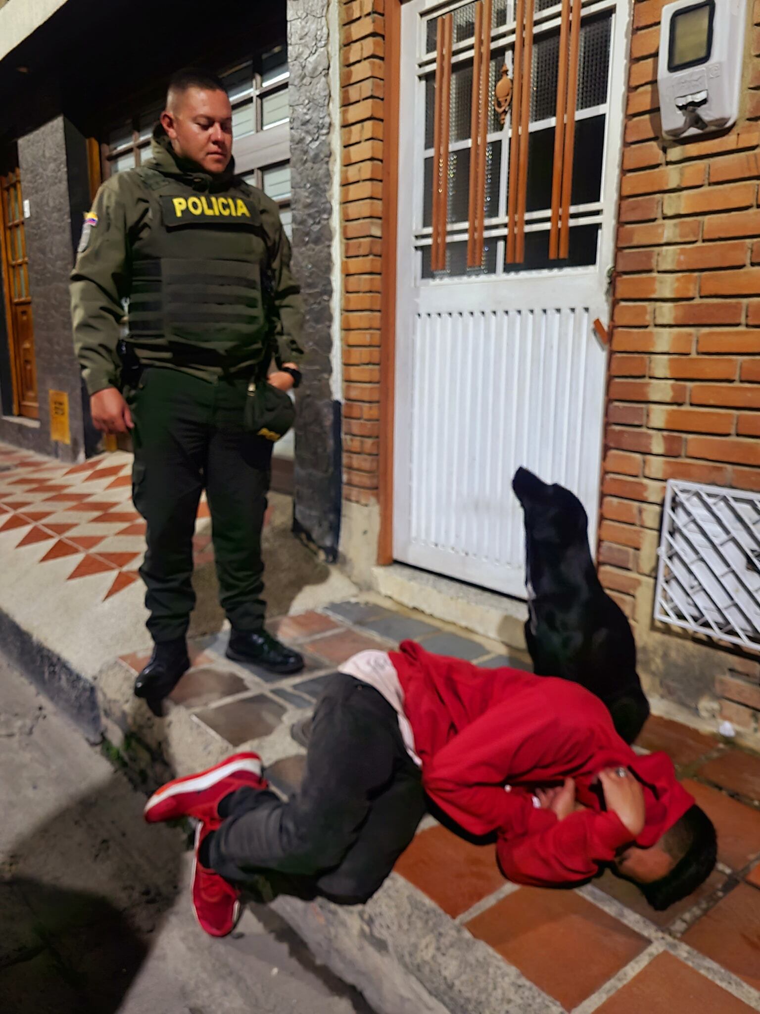 Perrito cuidando a su dueño borracho
