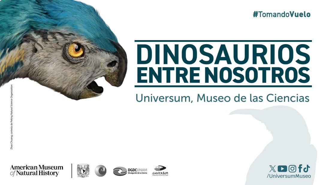 Dinosaurios entre nosotros: Dónde, cuándo y precio del boleto para la exposición de la UNAM
