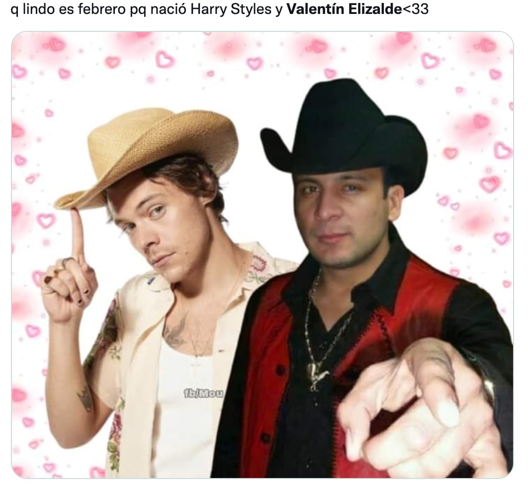 Memes de Harry Styles y Valentín Elizalde
