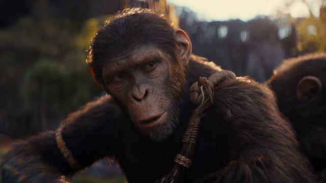 El planeta de los simios: nuevo reino