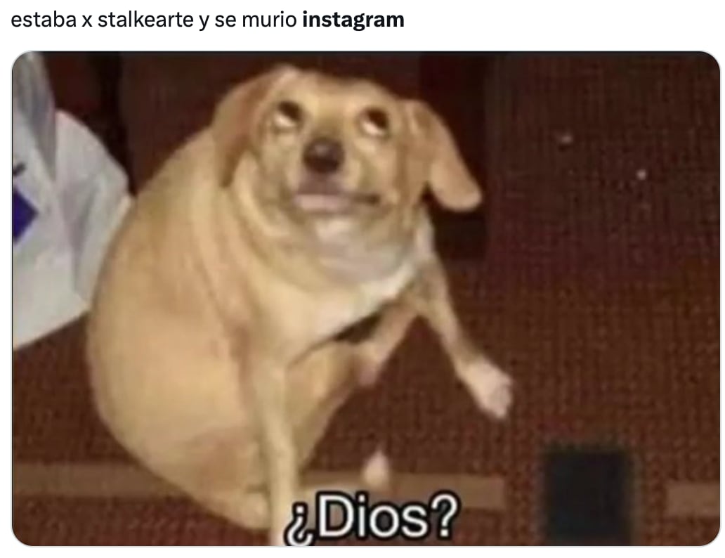Memes de la caída de Instagram