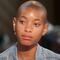 Willow Smith revela que cuando irrumpieron en su casa, acosador era pedófilo