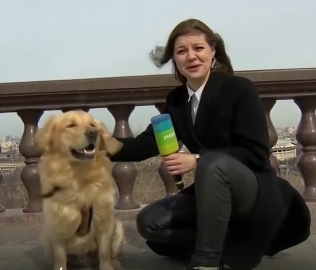 Perro roba micrófono a reportera en plena trasmisión en vivo
