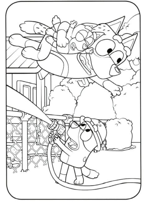 Bluey y Bingo jugando con Bandit en primavera