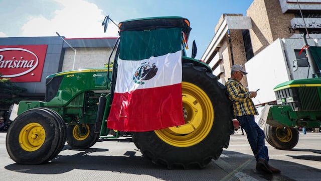 Productores de trigo piden apoyo para todo el campo mexicano, no solo al maíz