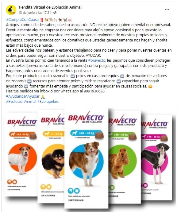 Post de Evolución Animal