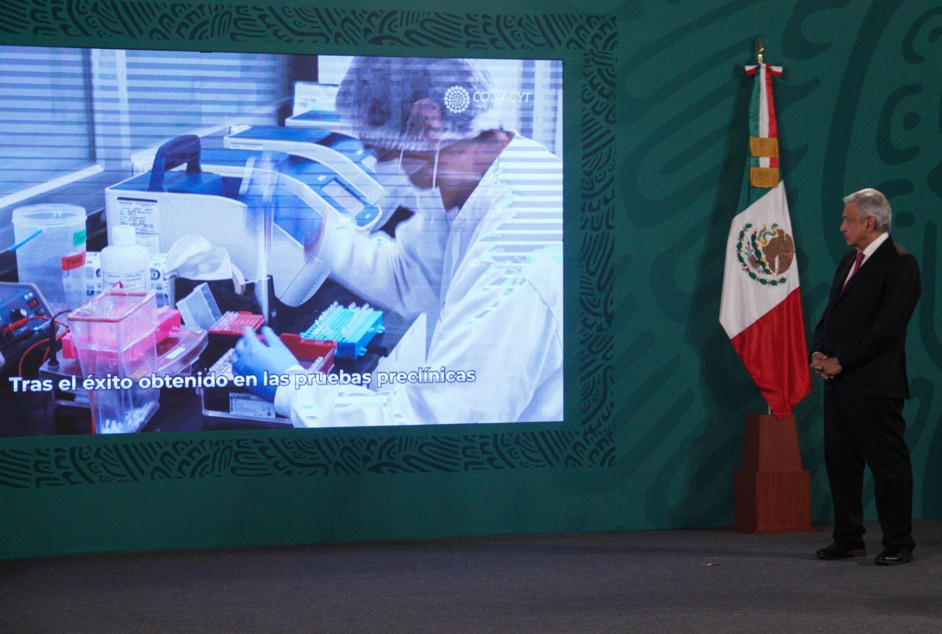 Vacuna mexicana Patria