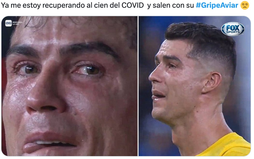 Los memes paranoicos de la gripe aviar en México