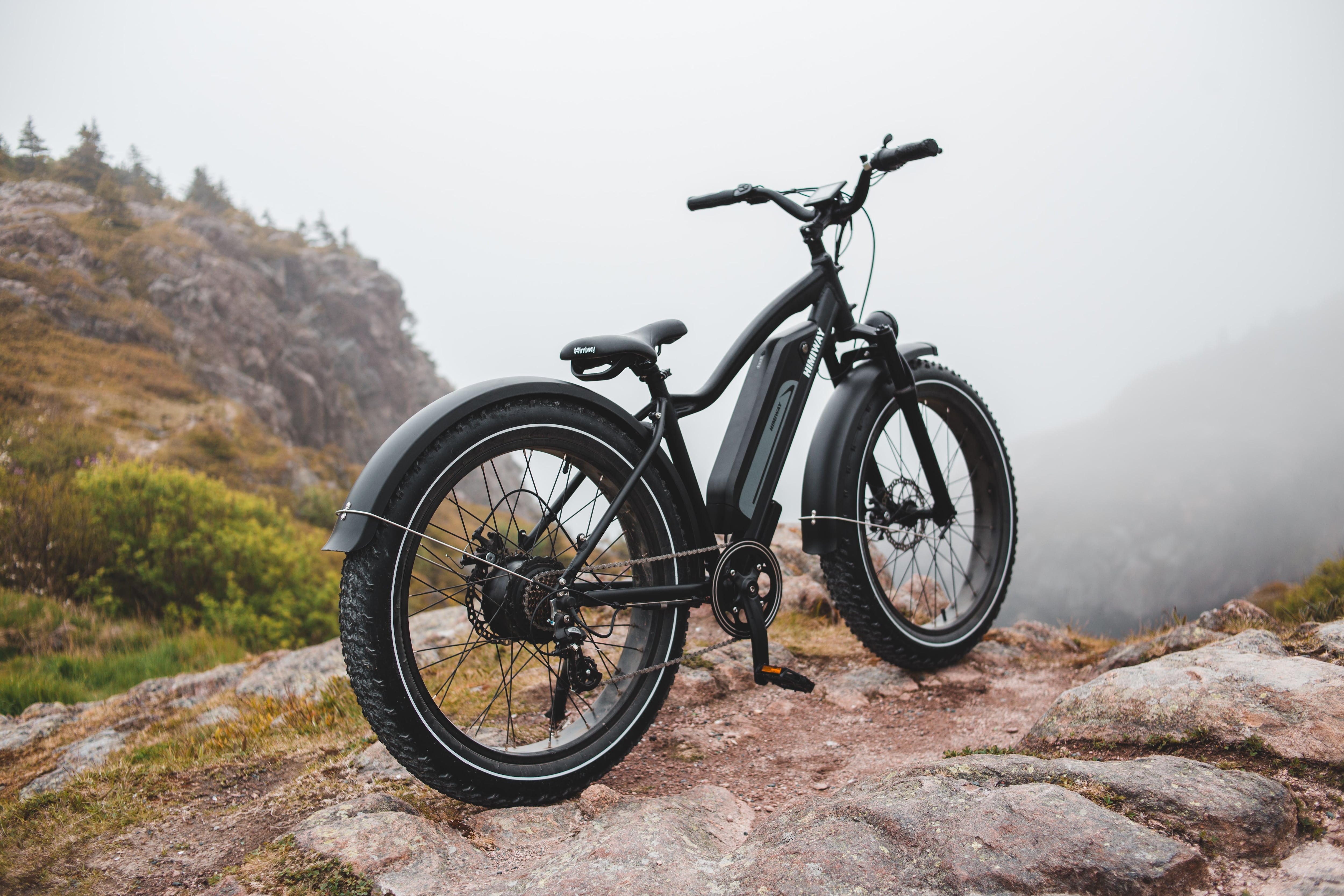 Bicicleta eléctrica