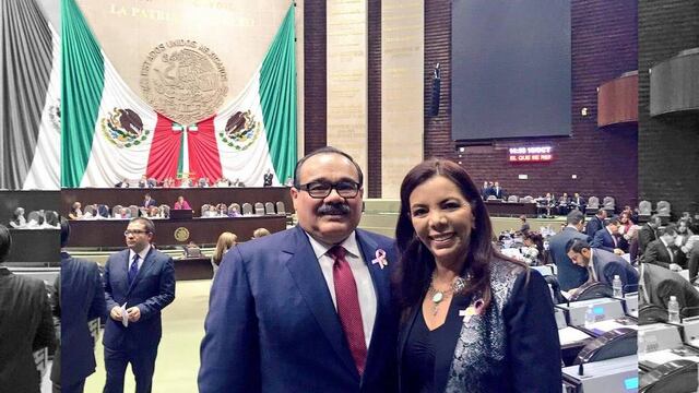 La diputada Carolina Monroy del Mazo informó que será la próxima semana cuando se defina a los integrantes del comité que formulará el Código de Ética para los diputados.