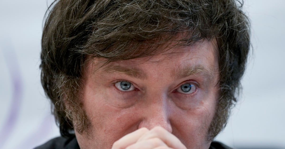 Milei y el Futuro Económico de Argentina: ¿Criptomonedas, Genio Financiero o Riesgo Digital?