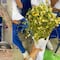 VIDEO: Le regalaron un ramo de manzanilla por las flores amarillas y TikTok no encuentra fallas en su lógica