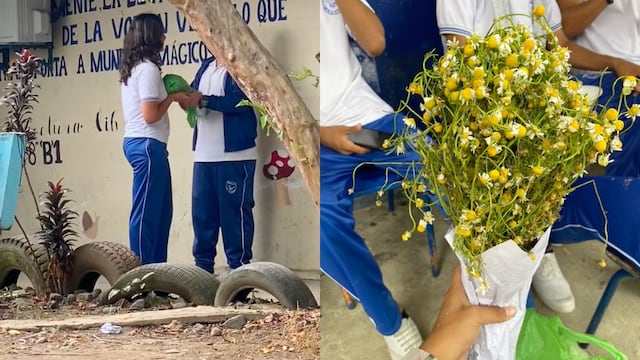 ramo de manzanilla por las flores amarillas