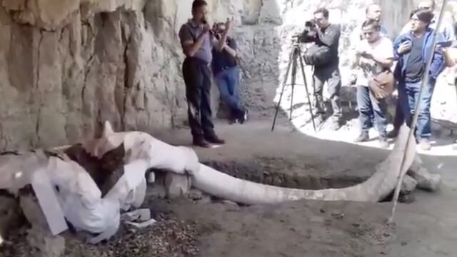 Descubrimiento de huesos de mamut en Tultepec