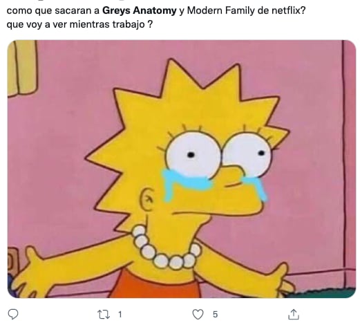 Grey's Anatomy dejará de estar en Netflix