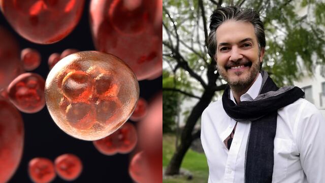 Células, Fernando del Solar