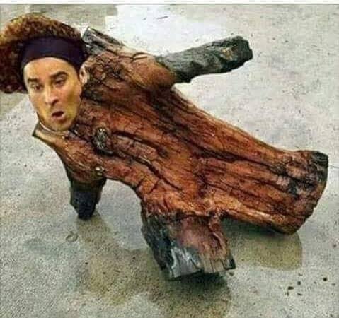Meme de Memo Ochoa.