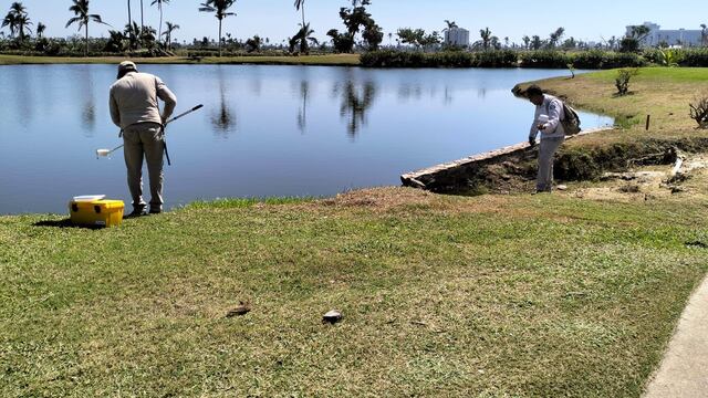 Intensifican brigadas de fumigación contra el mosco transmisor del Dengue en Guerrero