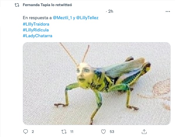 Memes de Lilly Téllez