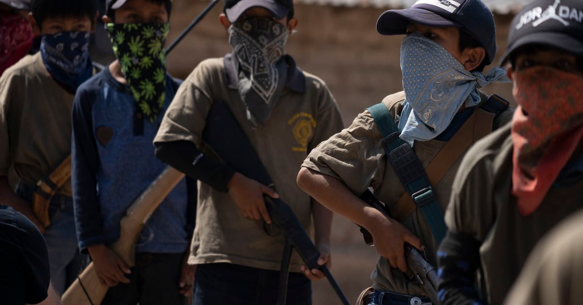 ONGs reportan incremento de reclutamiento forzado de jóvenes por crimen ...