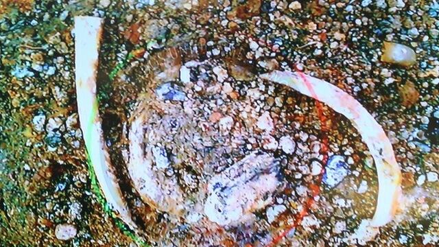 El resultado recibido por la PGR hace unos días señala que otro método podría aplicarse para identificar los restos pero implicaría la destrucción de los mismos.