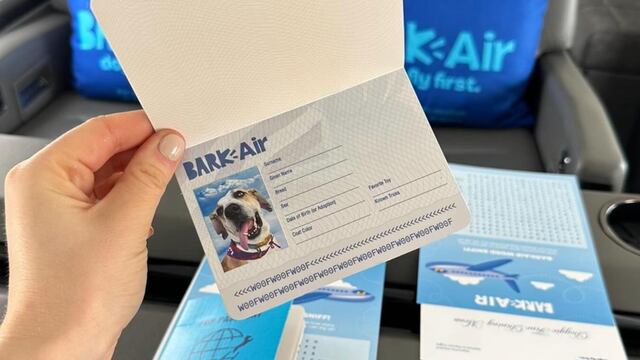 Bark Air es la primera aerolínea para perros