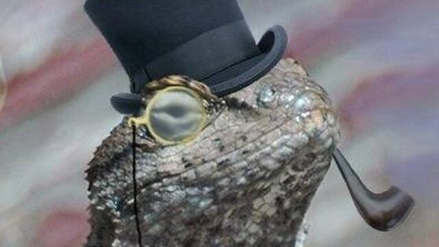 Lizard Squad