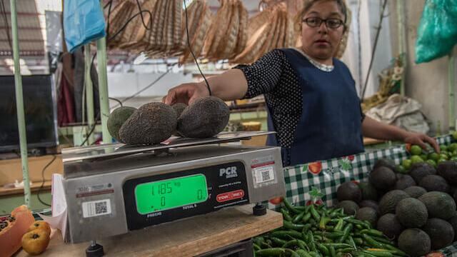 Aguacate, el denominado 'oro verde' mexicano