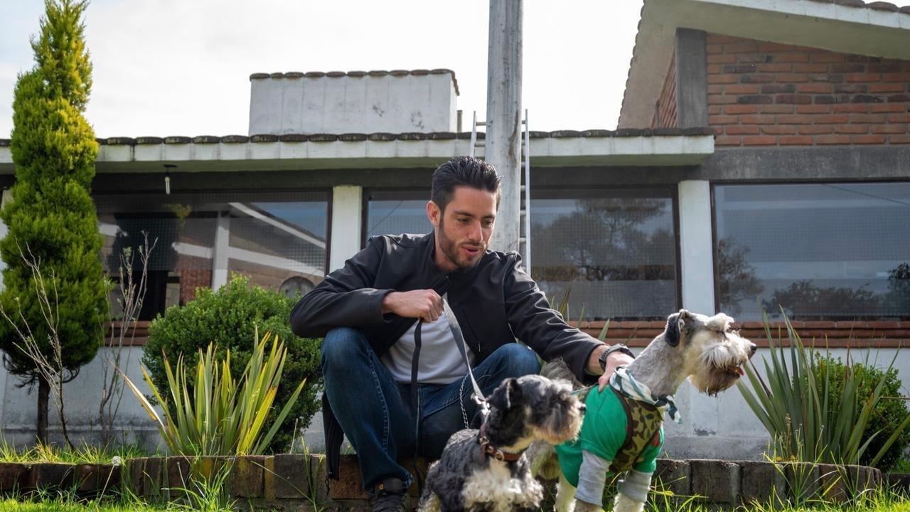 Registro de mascotas en Edomex será obligatorio y gratuito con nueva ley