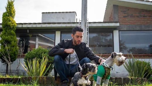 Registro de mascotas en Edomex será obligatorio y gratuito con nueva ley