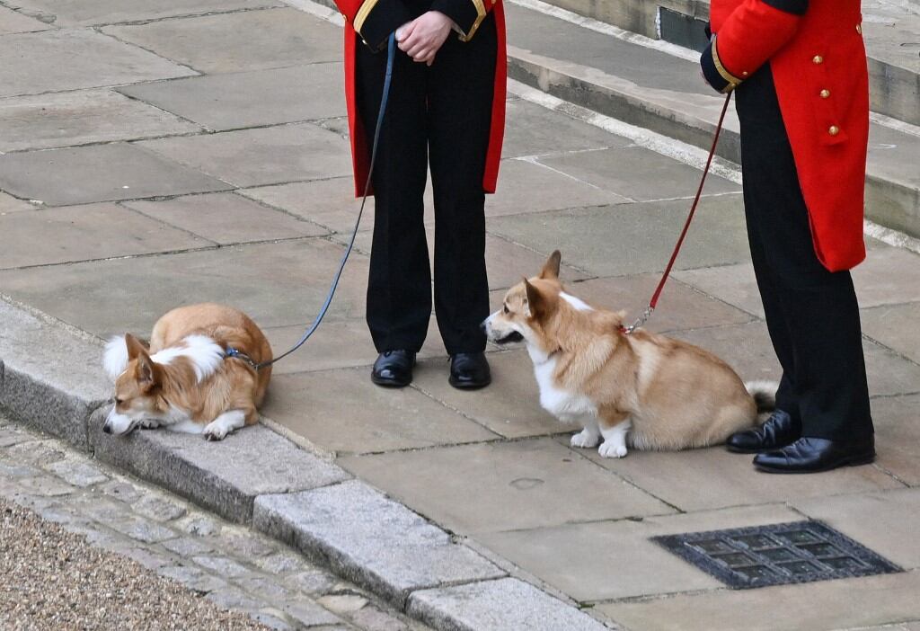 Muick y Sandy, corgis de la reina Isabel II en el funeral