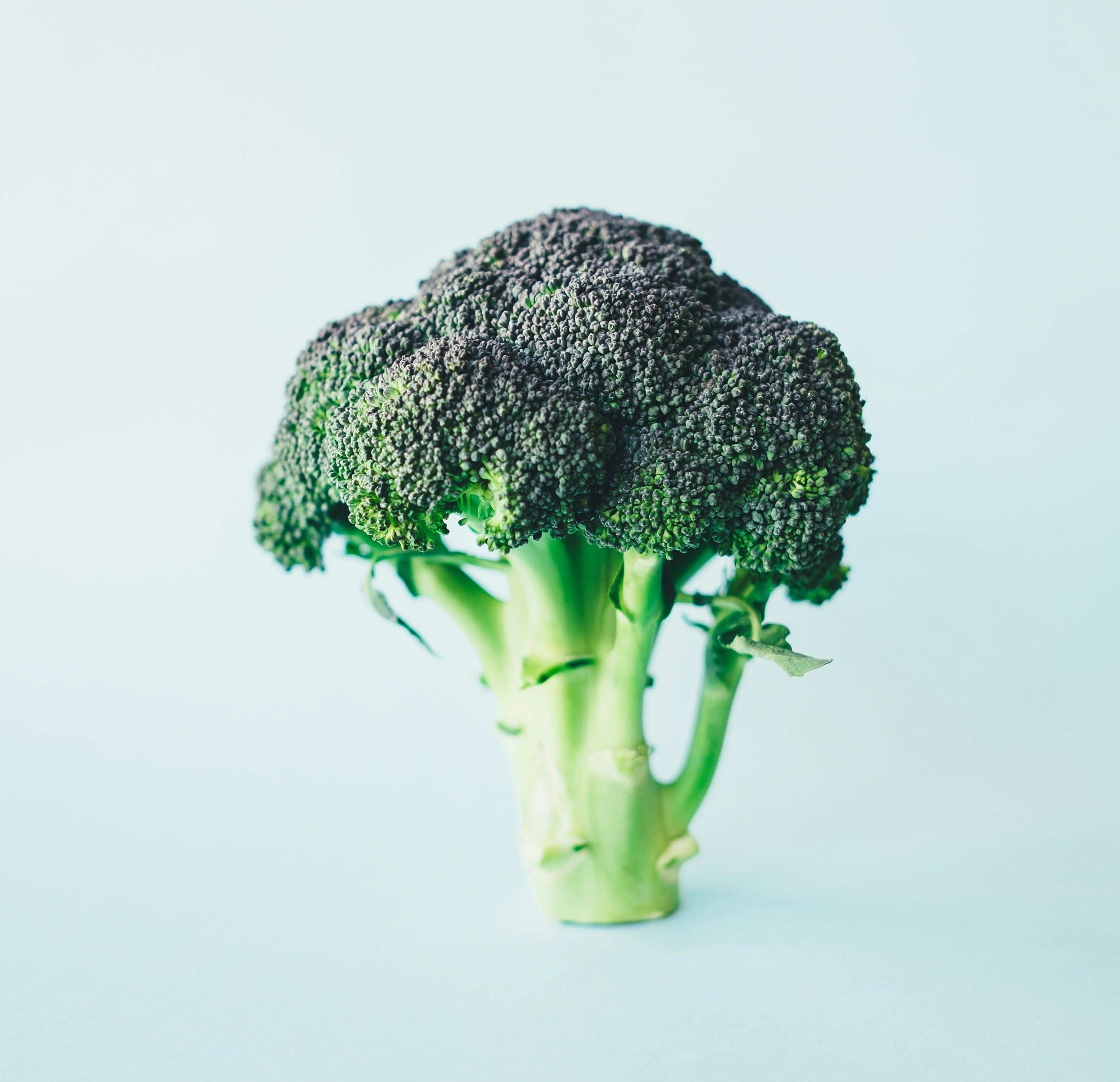 Brócoli
