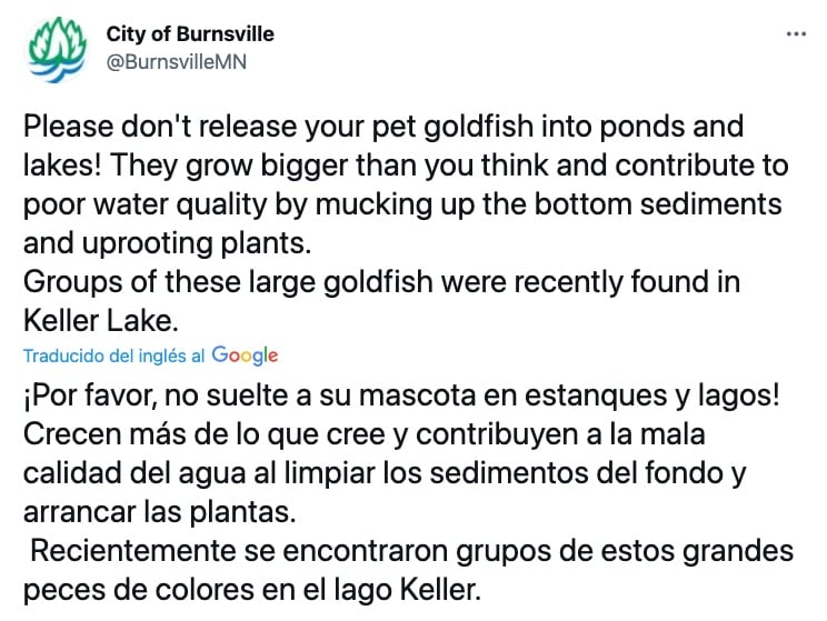 Comunicado ciudad de Burnsville