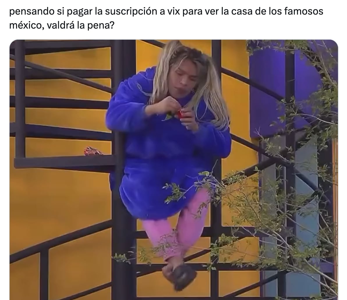 Meme estreno La Casa de los Famosos México 2024
