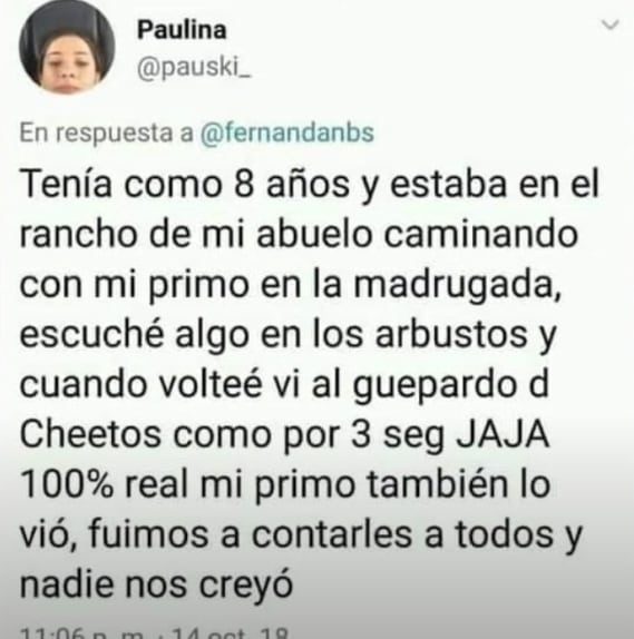 Historia Chester Cheetos