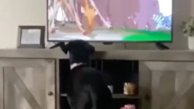 Perrito se cree del elenco de El Rey León