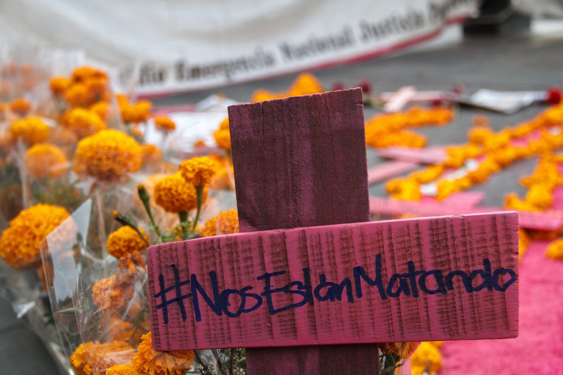 Protesta contra el feminicidio en México
