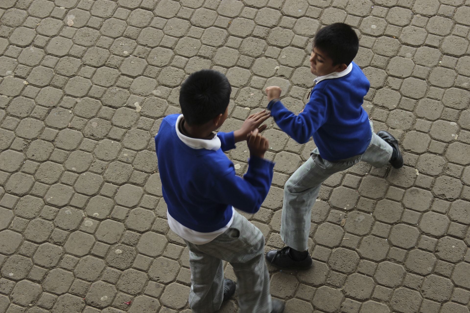 Las causas del bullying o acoso escolar pueden residir en los modelos educativos que son un referente para los niños, en la familia y/o en la escuela.