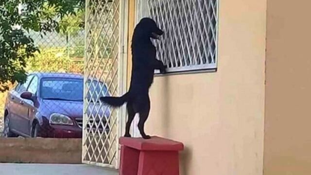 Secundaria General No. 9 de Ciudad Victoria.