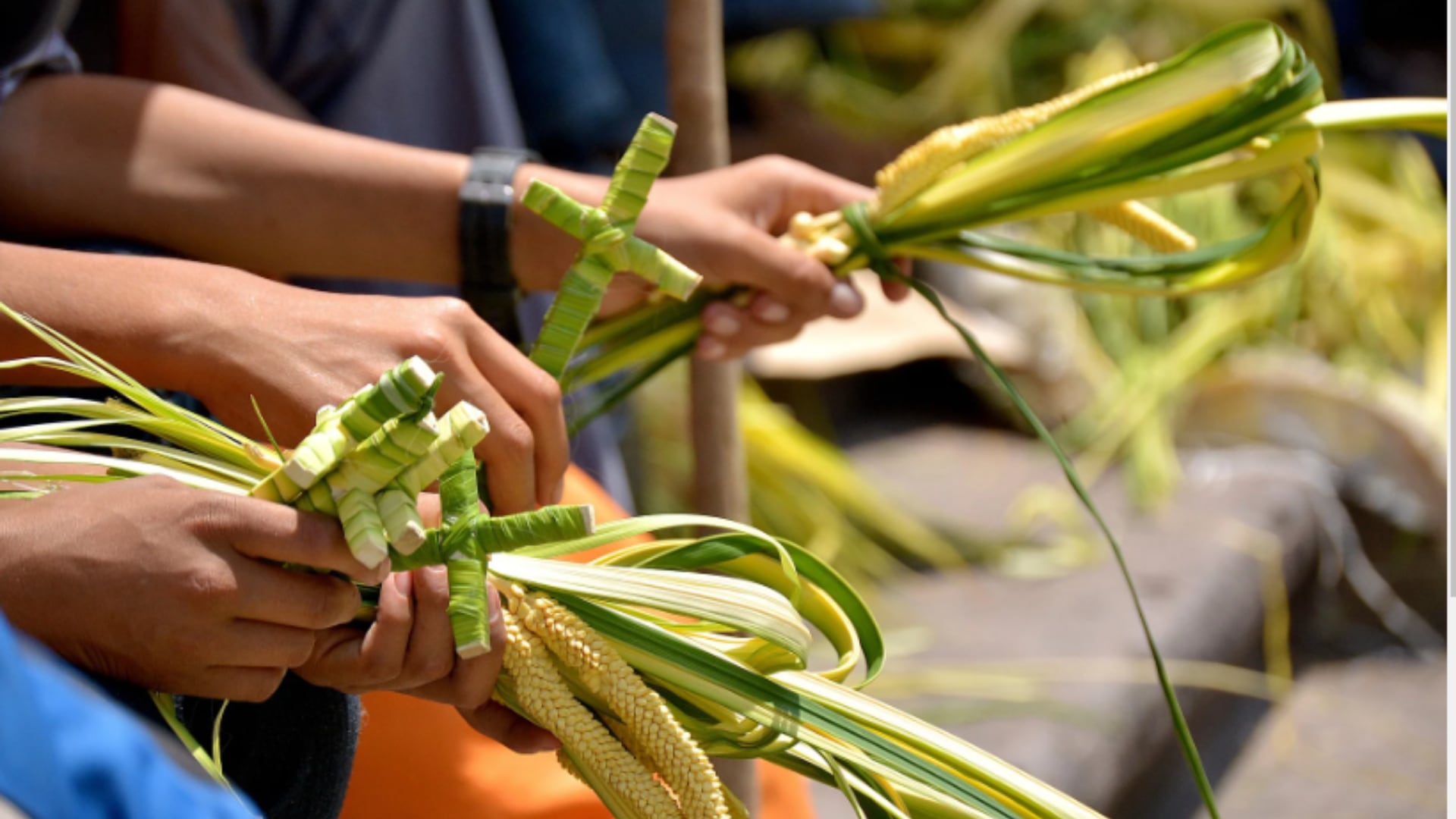 Domingo de Ramos Semana Santa: Palmas benditas