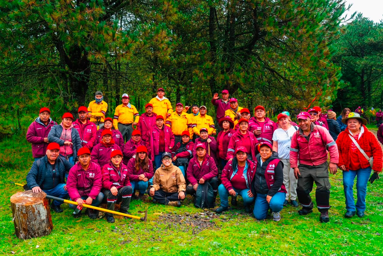 Tlalpan se suma a jornada de reforestación con 20 mil ejemplares