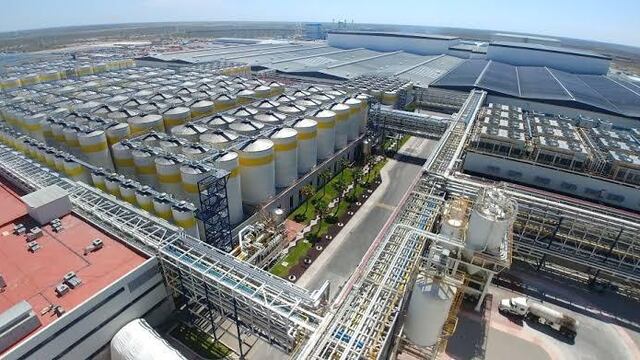 Constellation Brands