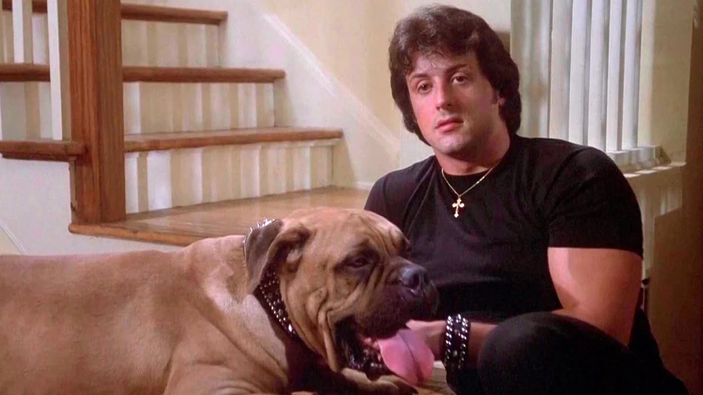 Butkus/ Sylvester Stallon