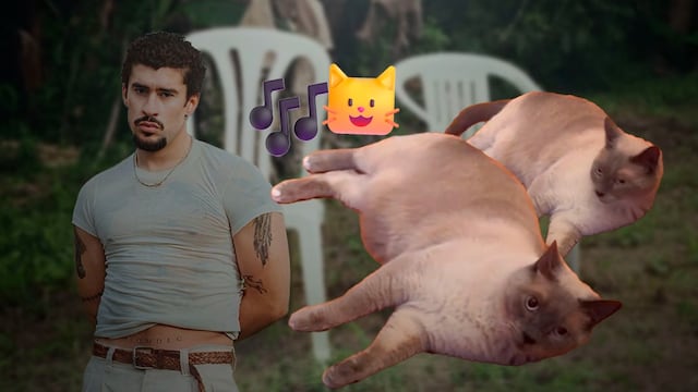 Solo Bad Bunny puede calmar a este gato con el perreo intenso de EoO