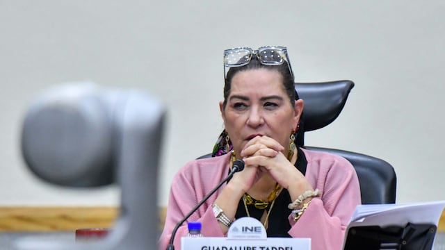 Guadalupe Taddei Zavala, consejera presidenta del Instituto Nacional Electoral